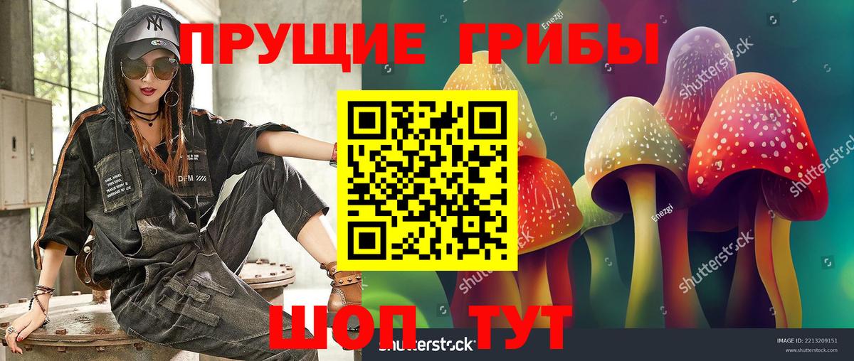 Галлюциногенные грибы Magic Shrooms Ростов-на-Дону