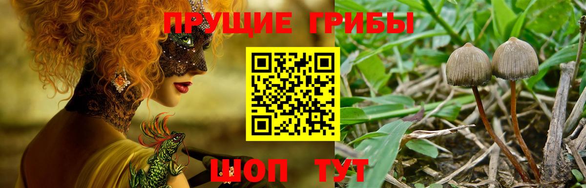 Галлюциногенные грибы мицелий  Вход с VPN  Ростов-на-Дону  Галлюциногенные грибы Magic Shrooms 